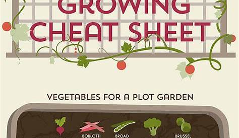 what vegetables can be planted together chart