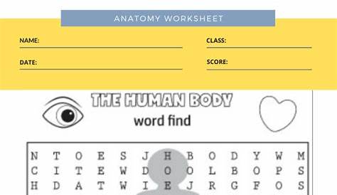 human anatomy worksheet