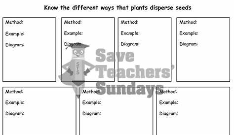 seed dispersal worksheets