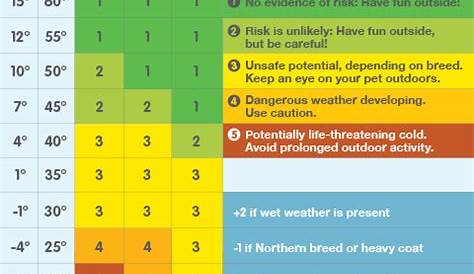 Handy Chart Tells You When It’s Too Cold to Walk Your Dog | Dog care