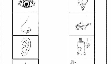 Printable five senses worksheet – Preschoolplanet