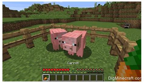 what do pigs eat in minecraft
