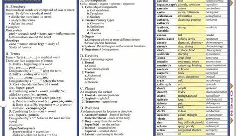 printable medical terminology worksheets