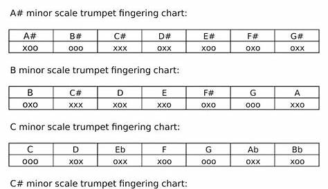 Pin on Trumpet Theory