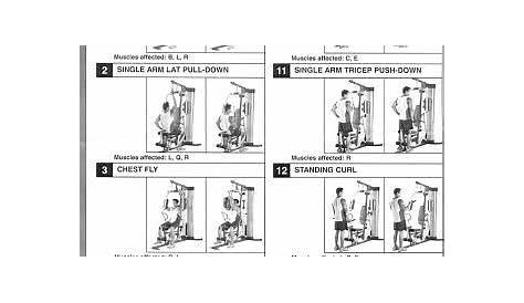 weider 2980 x exercise chart pdf