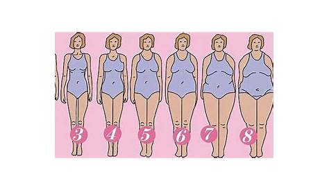 woman body type chart