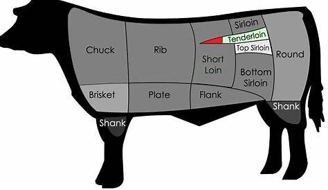 parts of a beef cow diagram chart