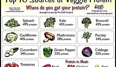 top-10-sources-of-veggie-protein-chart – Veganification