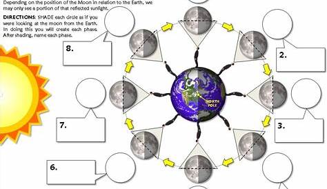 Worksheet: Moon Phases Practice | Lunar phase, Worksheets and Moon