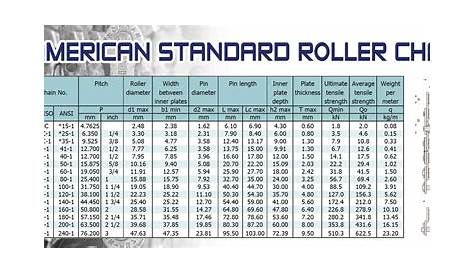 American Standard Roller Chains โซ่ขับมาตรฐานอเมริกา - Conveyor Chain