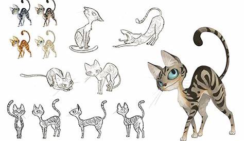 Cat Character Sheet on Behance