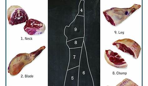 types of lamb & veal cuts