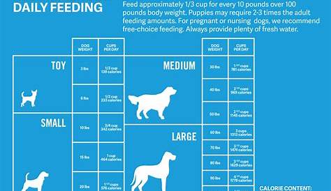 Puppy Feeding Schedule | Examples and Forms