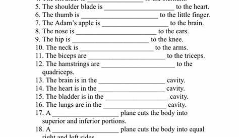 anatomy terminology worksheet