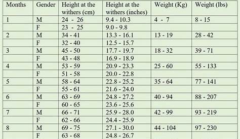 Caucasian Shepherd Growth Chart (height and weight tables) | Caucasian