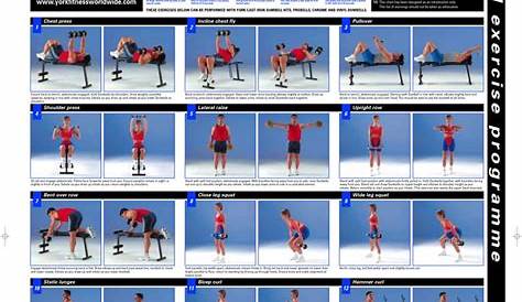dumbbell workout chart printable pdf