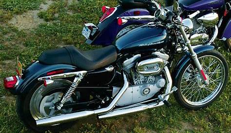 2006 Harley-Davidson XL883L Sportster 883 Low - Moto.ZombDrive.COM