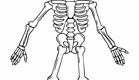 halloween skeleton coloring pages printable