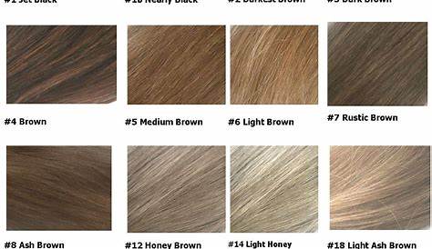 Basic hair colors chart 2016 - Gabor, Loreal, Wella, Revlon, Garnier