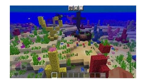 where to find coral in minecraft