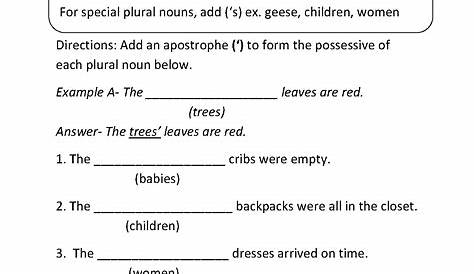 possesive noun worksheets