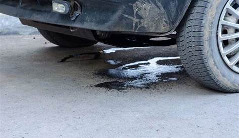 car leaking antifreeze and overheating - Francisco Weems