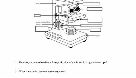 microscope measurement worksheet