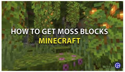 Top 19 how to collect moss in minecraft in 2022 - Gấu Đây