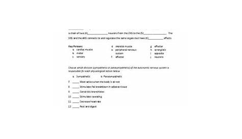 The Autonomic Nervous System (Human Anatomy & Physiology Review Worksheet)