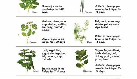 a list of herbs and their uses