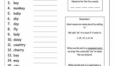 singular and plurals worksheet