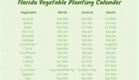 Florida Vegetable Gardening | A Complete Beginners Guide