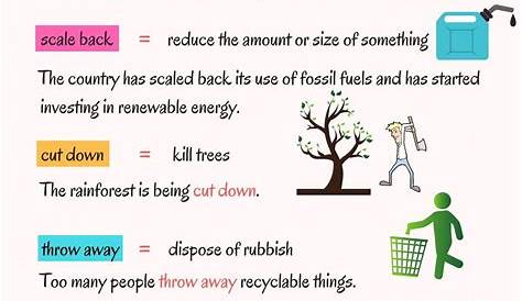 vocabulary related to the environment