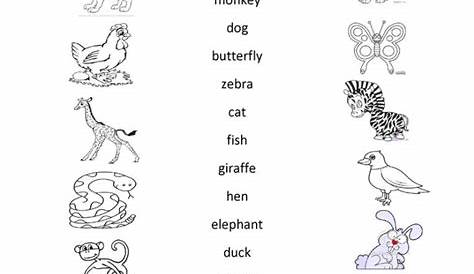 matching animals worksheet for kindergarten