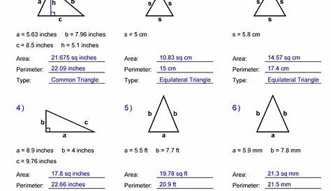 Triangle Area and Perimeter answers – Hoeden Homeschool Support