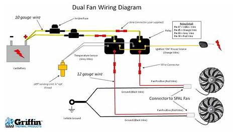 Dual Radiator Fan Wiring Diagram - Wiring Diagram