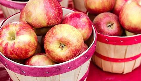 13 Types of Apples—and How to Use Them | Fuji apple recipes, Apple