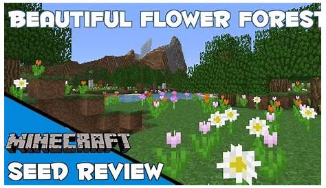 Beautiful Flower Forest Seed! [Minecraft 1.7 Spotlight] - YouTube