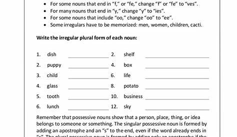 Irregular Plural Nouns Worksheets - Singular And Plural Nouns