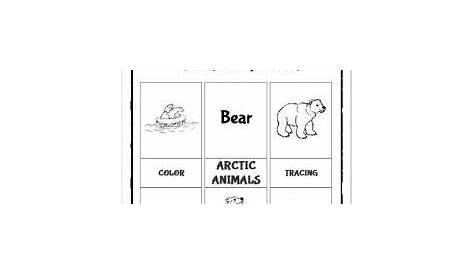 polar bear and penguin worksheets