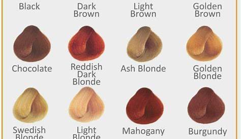 Clairol Professional Hair Color Chart er så kjent, men hvorfor