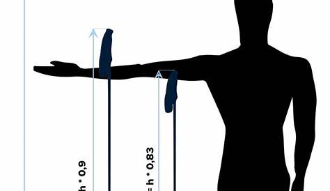 ski length based on height