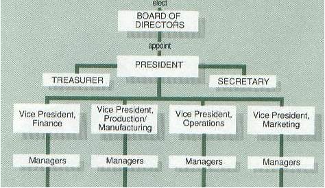 Typical Finance Department Structure - Learn Diagram