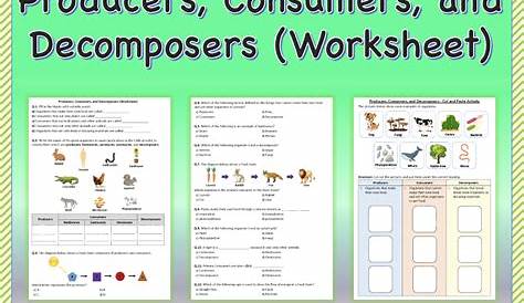 producer consumer decomposer worksheets