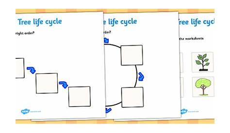 printable apple tree life cycle worksheet