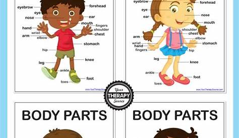 6 Body Awareness Activities and Printables - Free! - Your Therapy Source