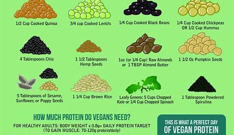 protein sources for vegetarians pdf