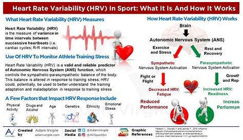 heart rate variability chart