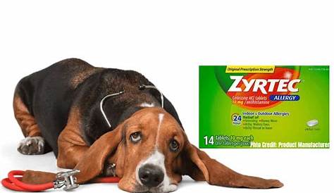 zyrtec dosage for dogs chart