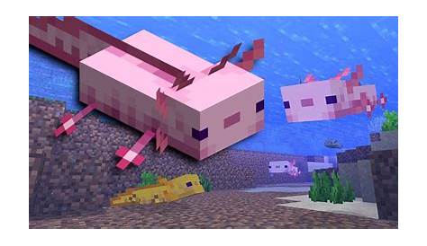 Minecraft: How to Breed Axolotl